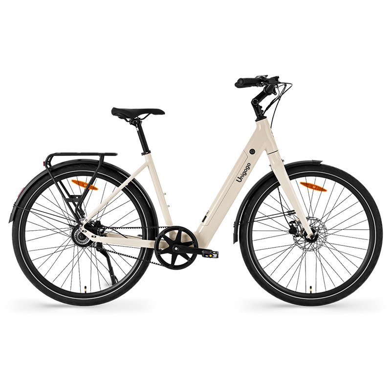 Bicicleta Elétrica de Montanha - Mountain Biking App avaliação e preço